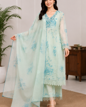 Premium Organza Embroidered Floral Suit Set with Dupatta Mint Green by Anuvarna